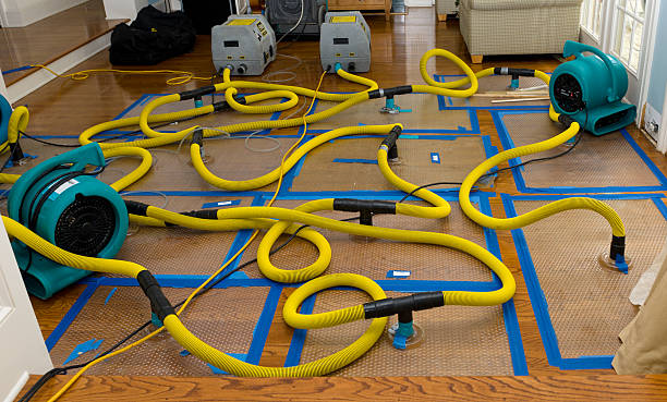 Professional Water Damage Repair technician working in Whitehall, OH